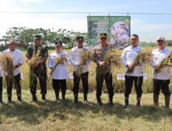 Kapolresta Tangerang Hadiri Kegiatan Vidcon Panen Raya Padi Serentak Bersama Presiden RI