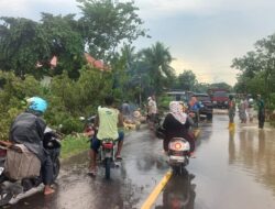 Penanganan Pohon Tumbang di Desa Gandasari Berjalan Lancar Berkat Babinsa Koramil 1315-05