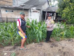 Optimalkan Program Ketahanan Pangan Polsek Pasar Kemis Gandeng Masyarakat