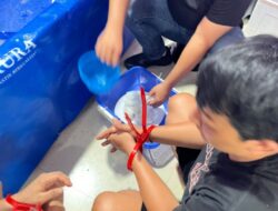 Satreskrim Polres Metro Tangerang Kota Ungkap Gudang Pengelolaan 30.000 Benih Lobster Ilegal