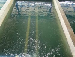 Perumda Tirta Benteng Pastikan Air Baku Kini Aman Dikonsumsi