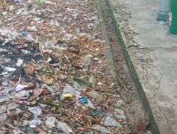Dugaan Minim Perawatan dan Tidak Transparannya Dana BOS, SDN 16 Indralaya Utara Disorot